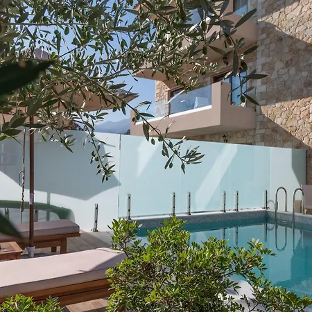 Cactus Royal & Adults Only Stalida