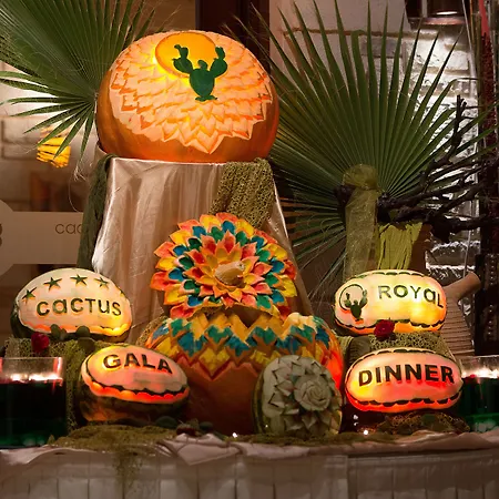 호텔 Cactus Royal & Adults Only 5*