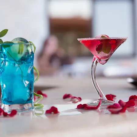 Cactus Royal & Adults Only Stalida