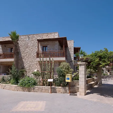 Cactus Royal & Adults Only Stalida